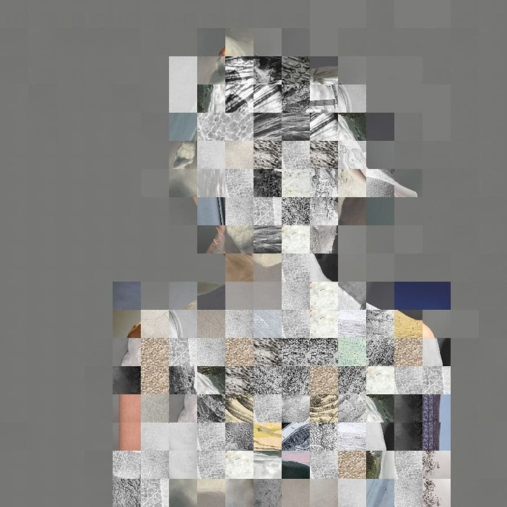 Grayscale mosaic profile portrait assembled from a fine grid of tiny textured photo tiles